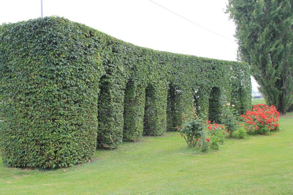 Villa Belvedere 1849 Misano di Gera d'Adda Luaran gambar